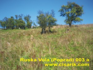 go to the village page